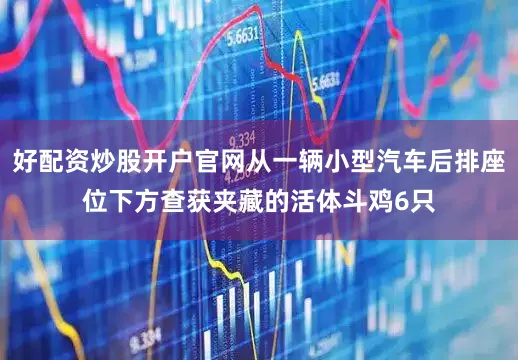 好配资炒股开户官网从一辆小型汽车后排座位下方查获夹藏的活体斗鸡6只