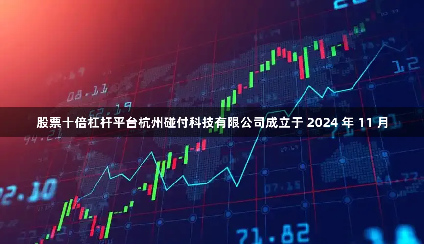 股票十倍杠杆平台杭州碰付科技有限公司成立于 2024 年 11 月