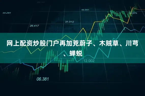 网上配资炒股门户再加茺蔚子、木贼草、川芎、蝉蜕