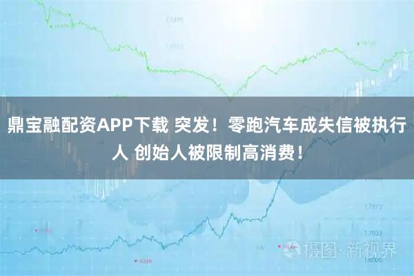 鼎宝融配资APP下载 突发！零跑汽车成失信被执行人 创始人被限制高消费！
