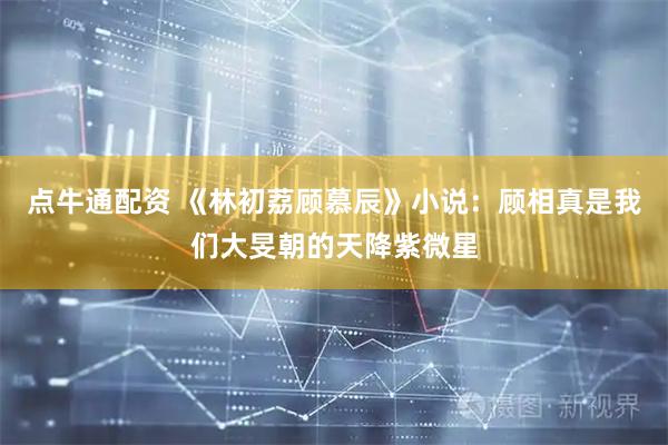 点牛通配资 《林初荔顾慕辰》小说:顾相真是我们大旻朝的天降紫微星